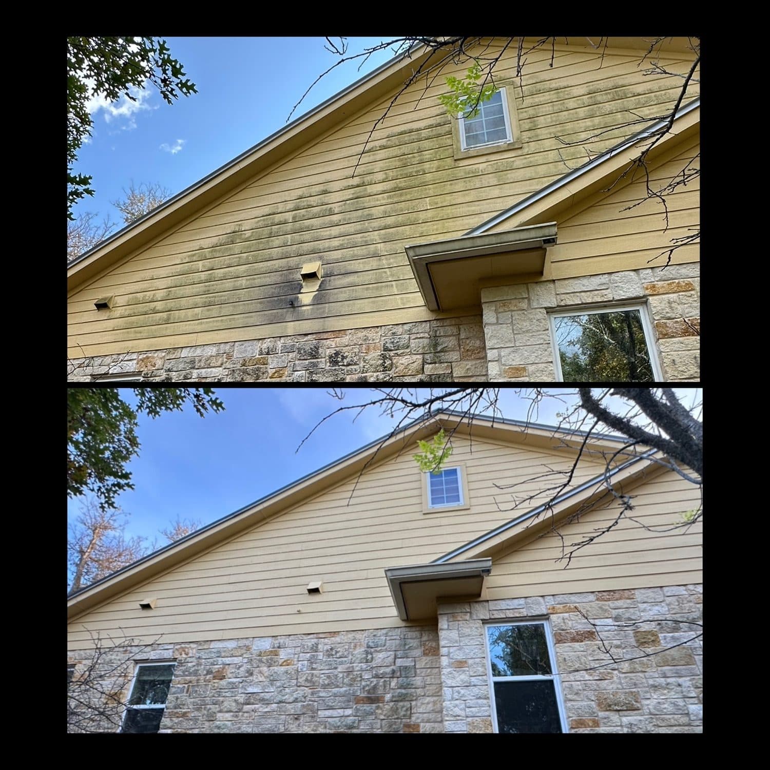 Yellow siding covered in green algae before and clean after a professional house wash in the Austin, TX area